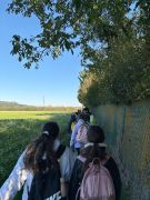 Wandertag2a2026002