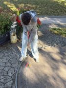 Wandertag3b2026023
